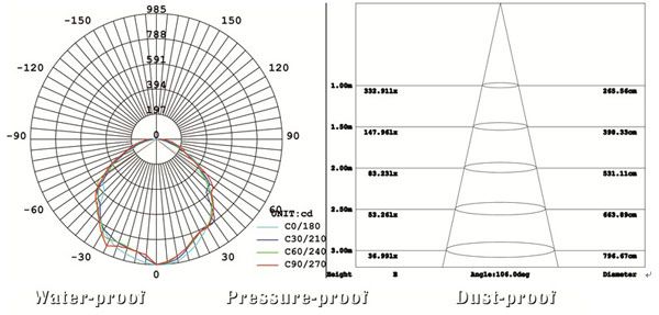 0.6m Triproof lamp